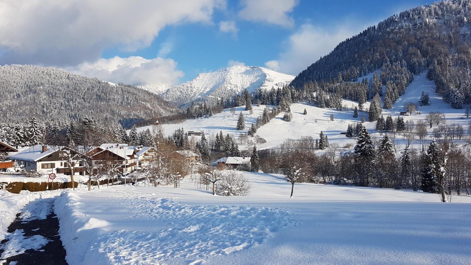 Exklusive Fewo Allgaeustern Steibis Mit Wlan Sauna Kamin Und Oberstaufen Plus Card Dış mekan fotoğraf